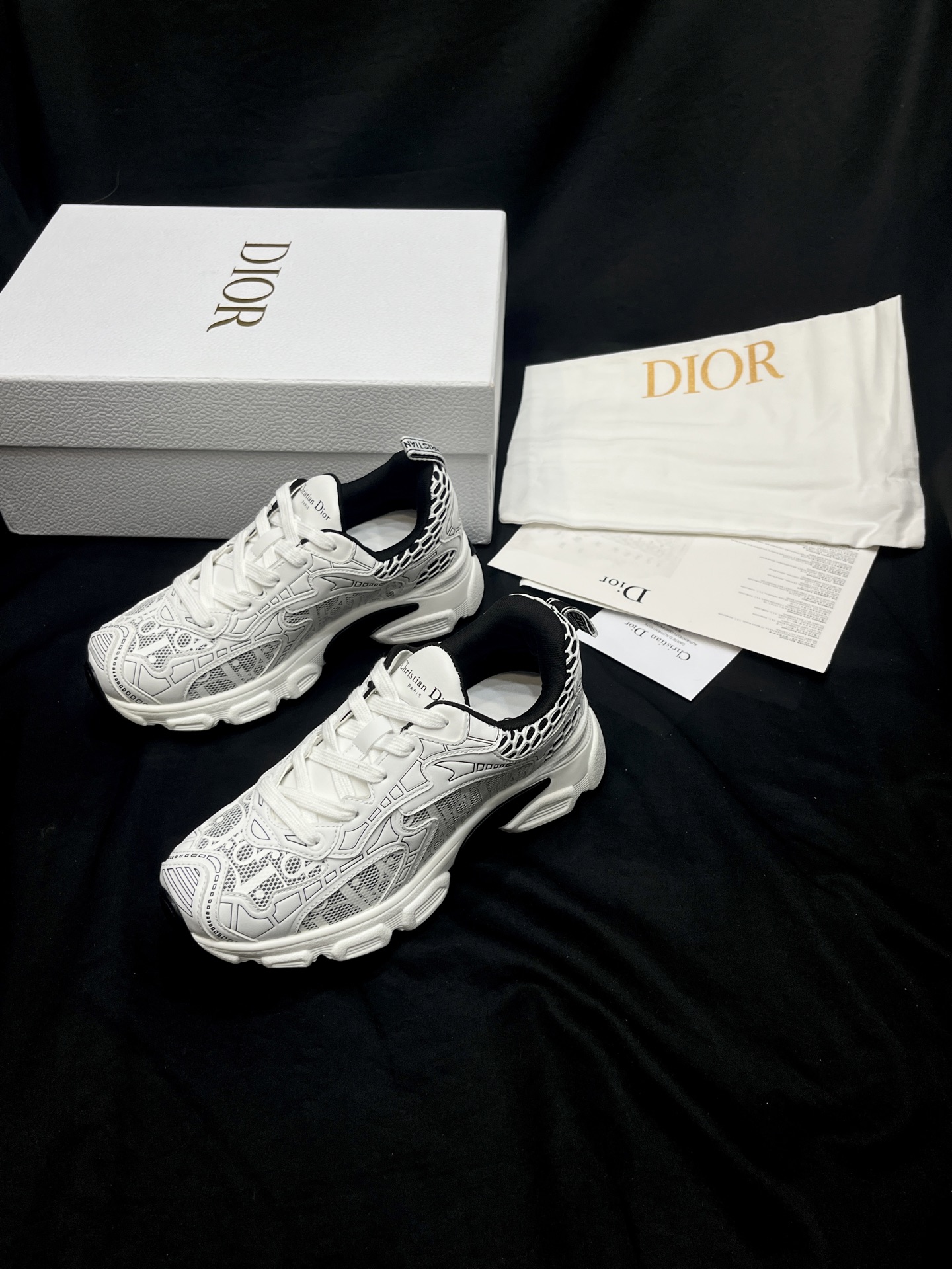 Dior Vibe 運動鞋