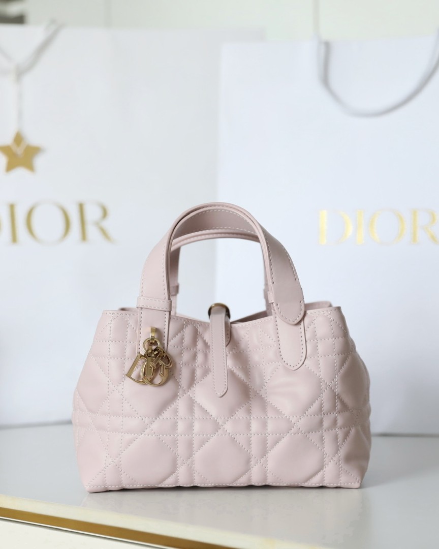 디올 Toujours 스몰백 23 x 14 x 12 cm