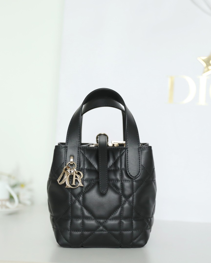 디올mini 뚜주흐 버티컬 토트백  13 x 15 x 12 cm