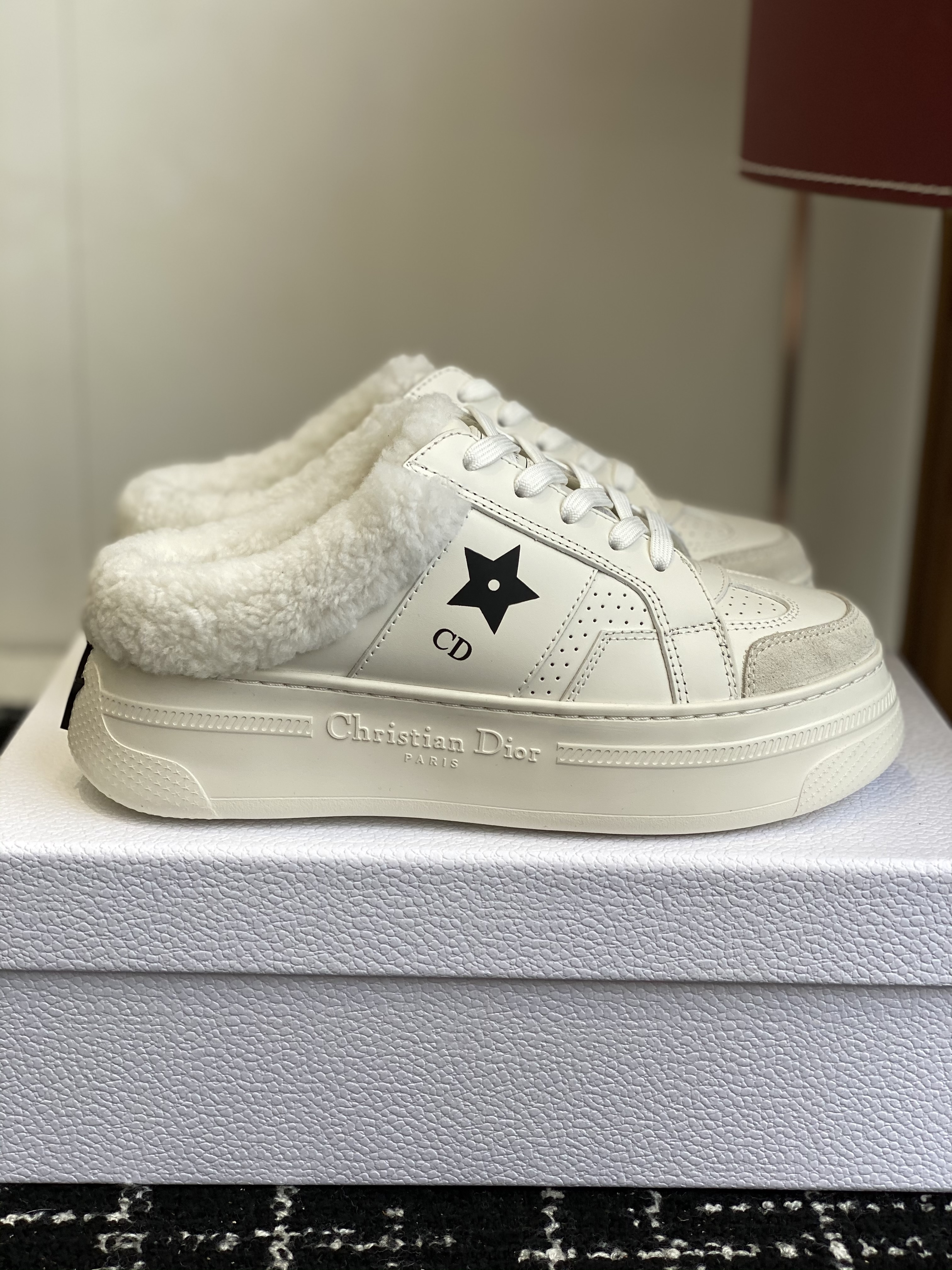 Dior Star 스타 스니커즈