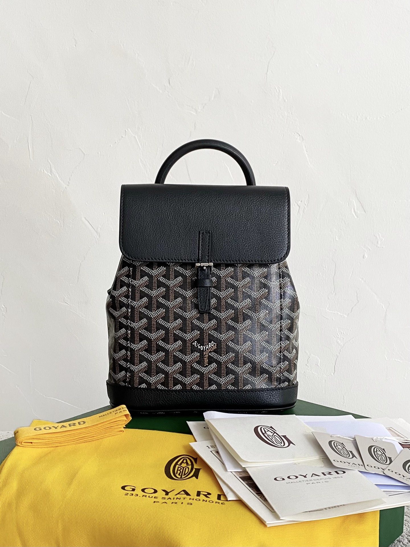 GOYARD Alpin Mini Backpack 23×19×9.5cm