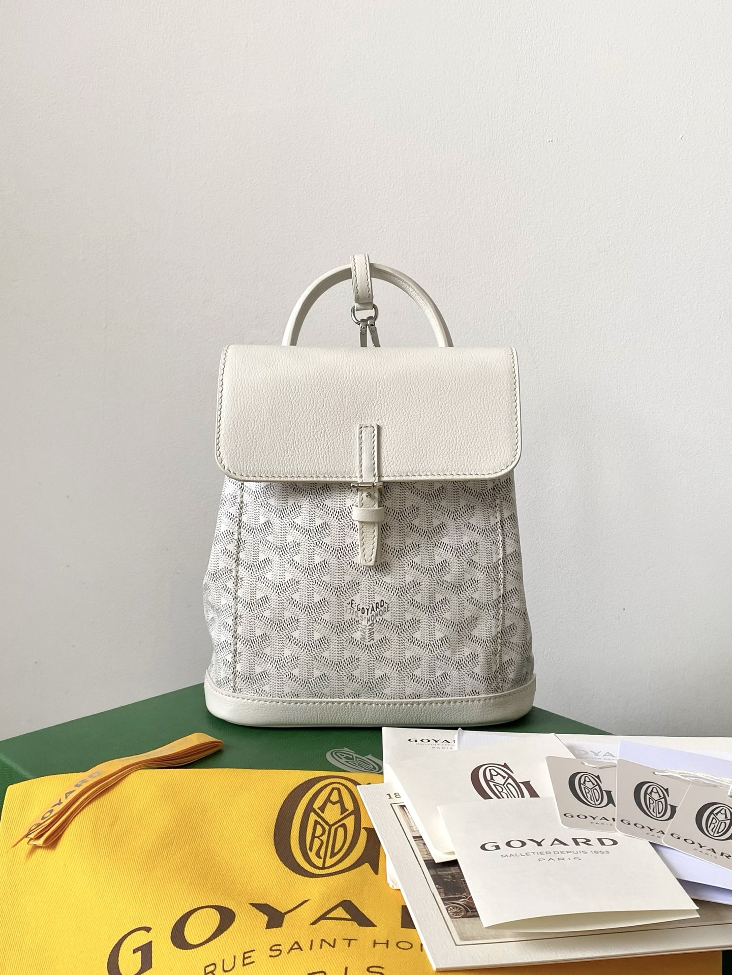 GOYARD Alpin Mini Backpack 23×19×9.5cm