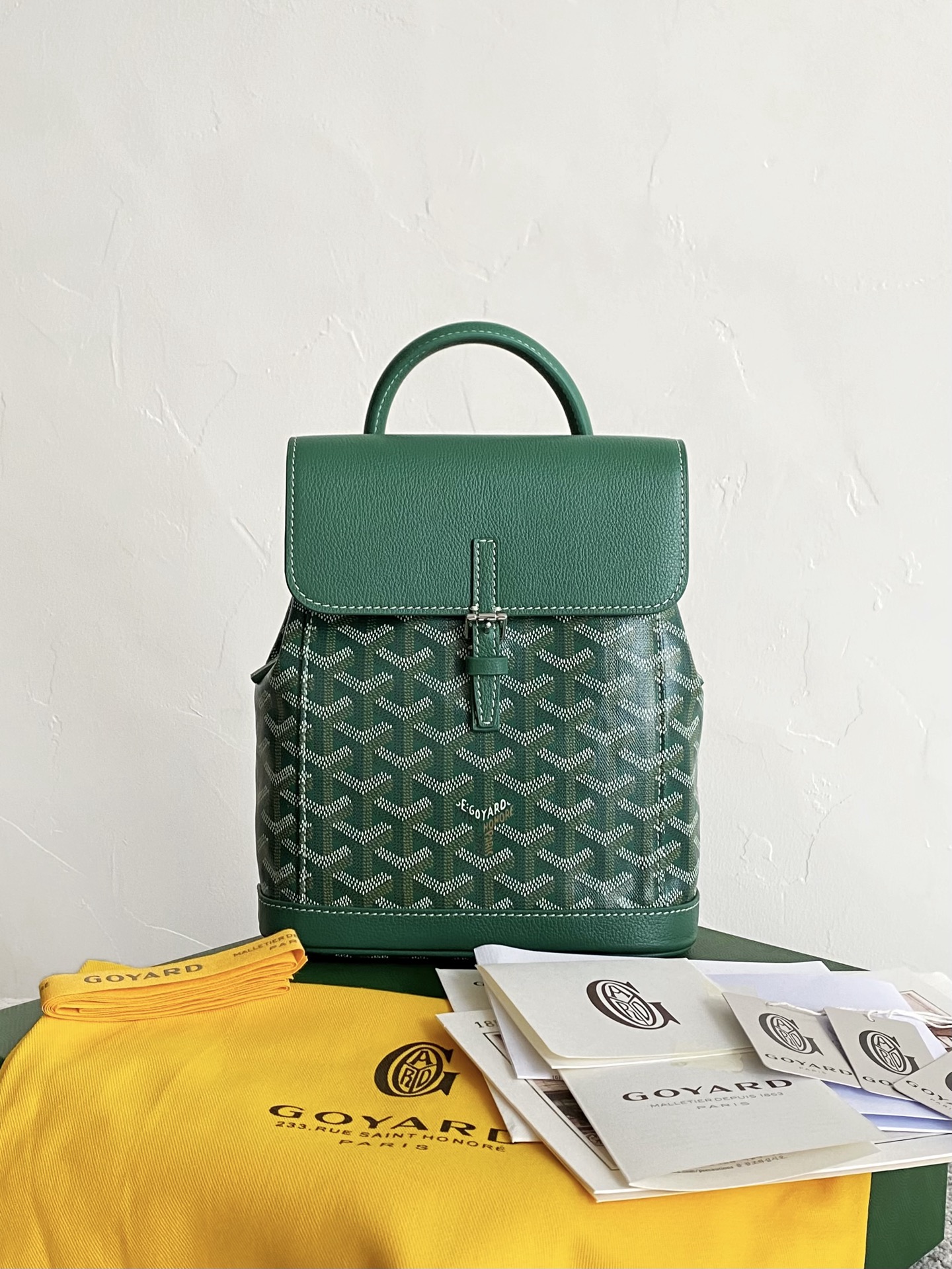 GOYARD Alpin Mini Backpack 23×19×9.5cm