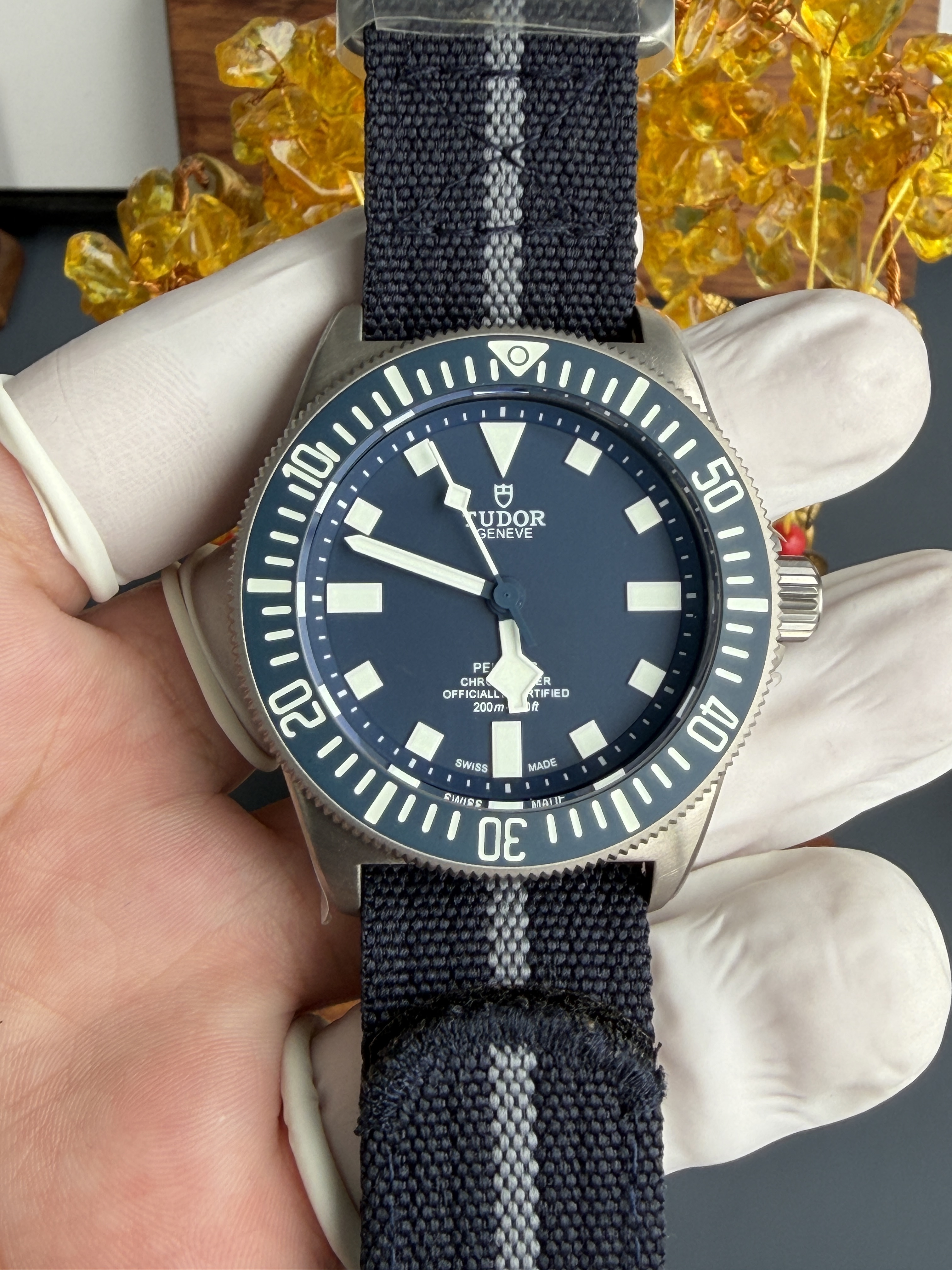 BR l 42mm l Tudor Pelagos FXD